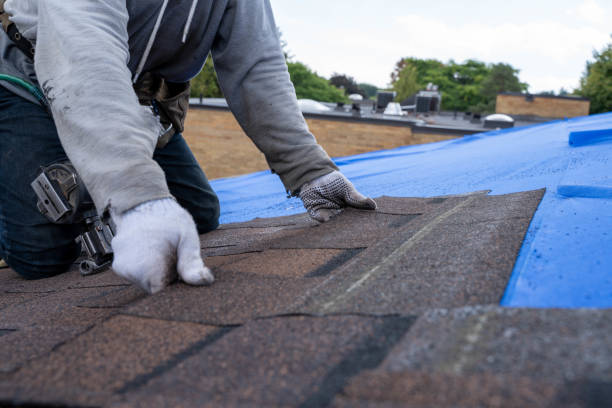 Best Roof Maintenance Services  in Adrian, MI