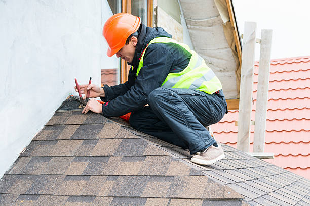 Roof Gutter Cleaning in Adrian, MI