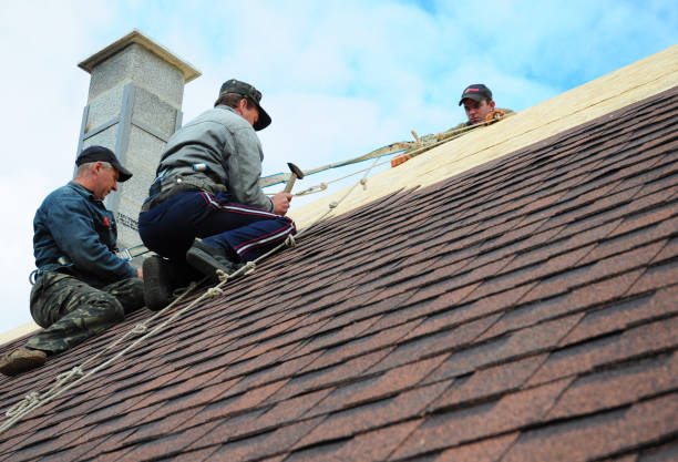 Best Gutter Installation and Roofing  in Adrian, MI