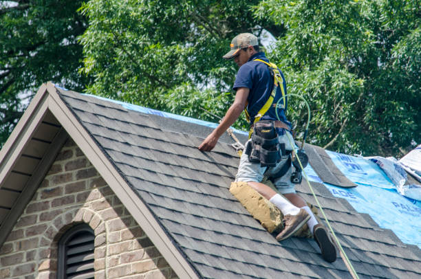 Best Roof Repair Services  in Adrian, MI